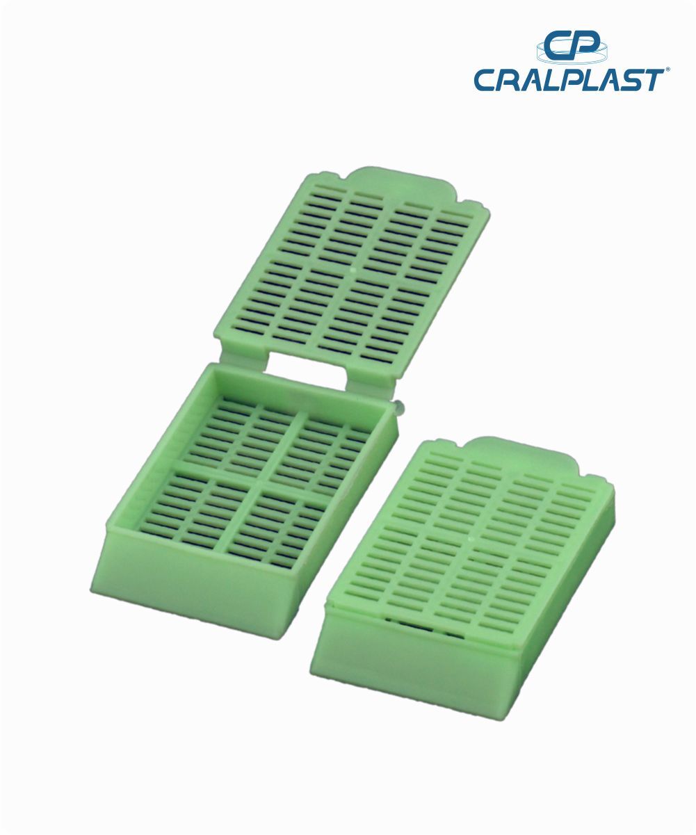 Cassete para biópsia verde